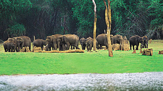 Thekkady